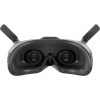 Комплект DJI Goggles 2 Motion Combo (New)
