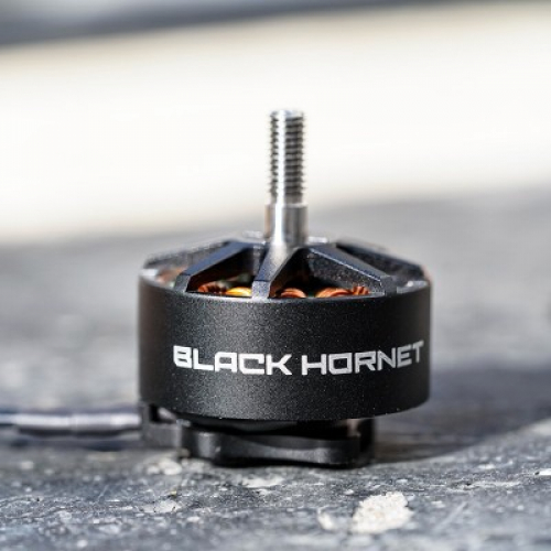 FPV двигатель Foxeer Black Hornet 2812 900KV