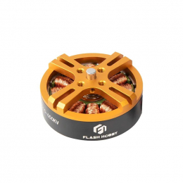 Бесщеточный двигатель Flash Hobby D4215 RC