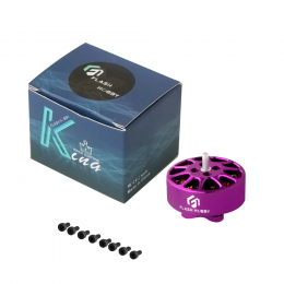 Бесщеточный двигатель Flash Hobby K1303